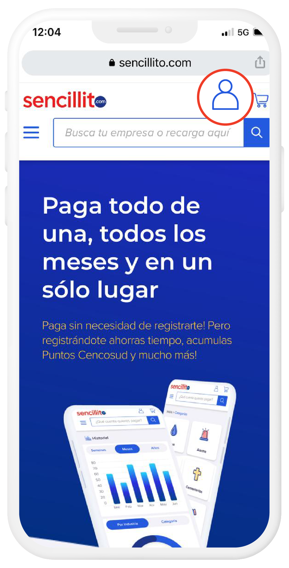 Puntos Cencosud Sencillito