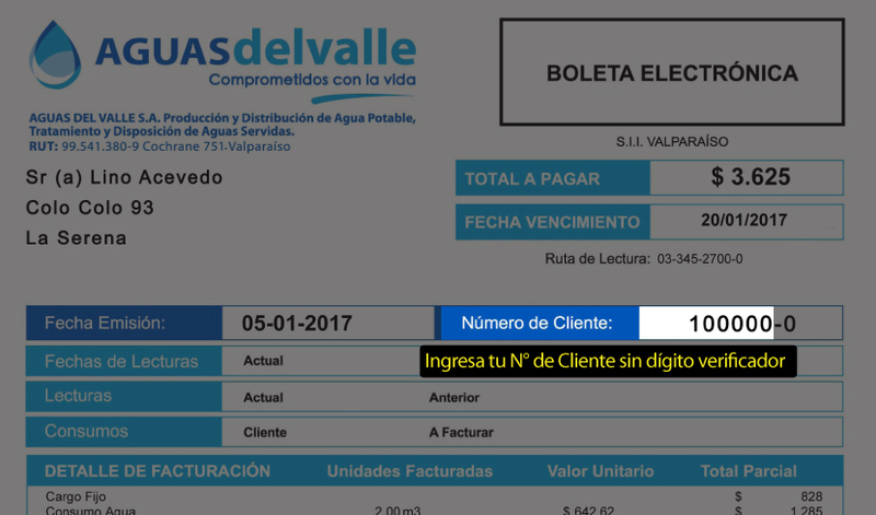 Pagar-Aguas-del-Valle-online-sencillito