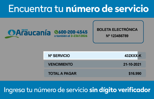 Pagar-Aguas-Araucania-online-sencillito