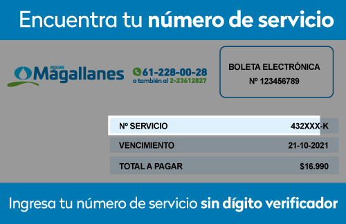 Pagar-Aguas-Magallanes-online-sencillito