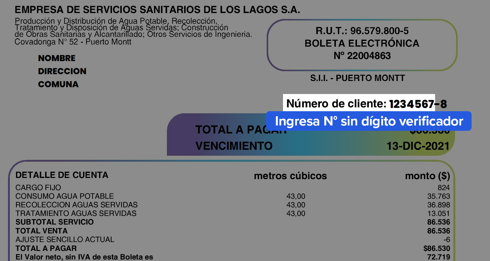 paga-essal-paga-suralis-agua-online-sencillito-Boleta