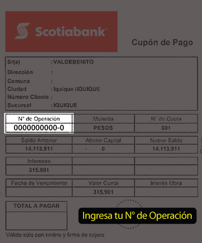 pagar-cae-scotiabank-online-sencillito